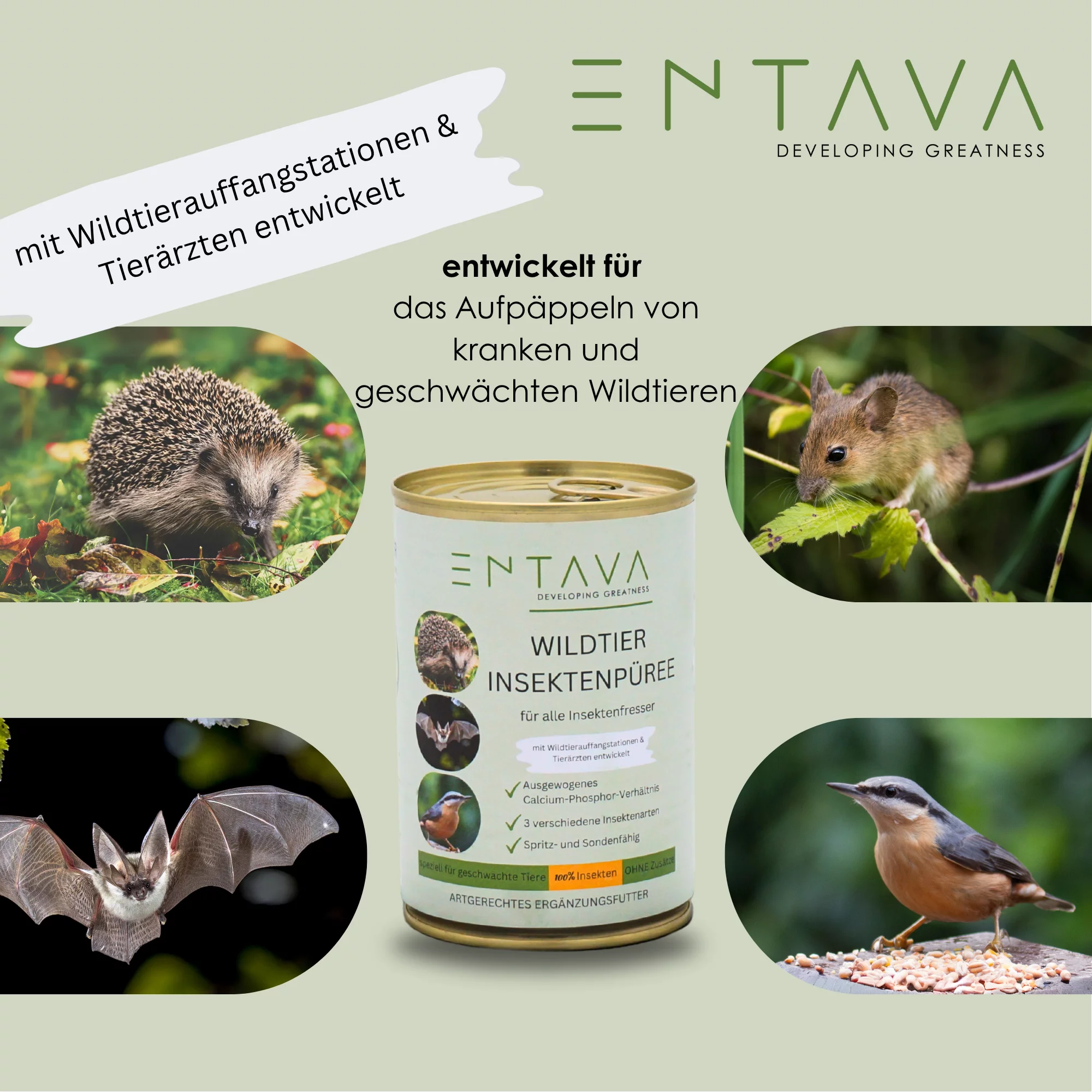 SPENDE Tierfreunde Rhein-Erft e.V. : Wildtier Insektenpüree 400g Dose