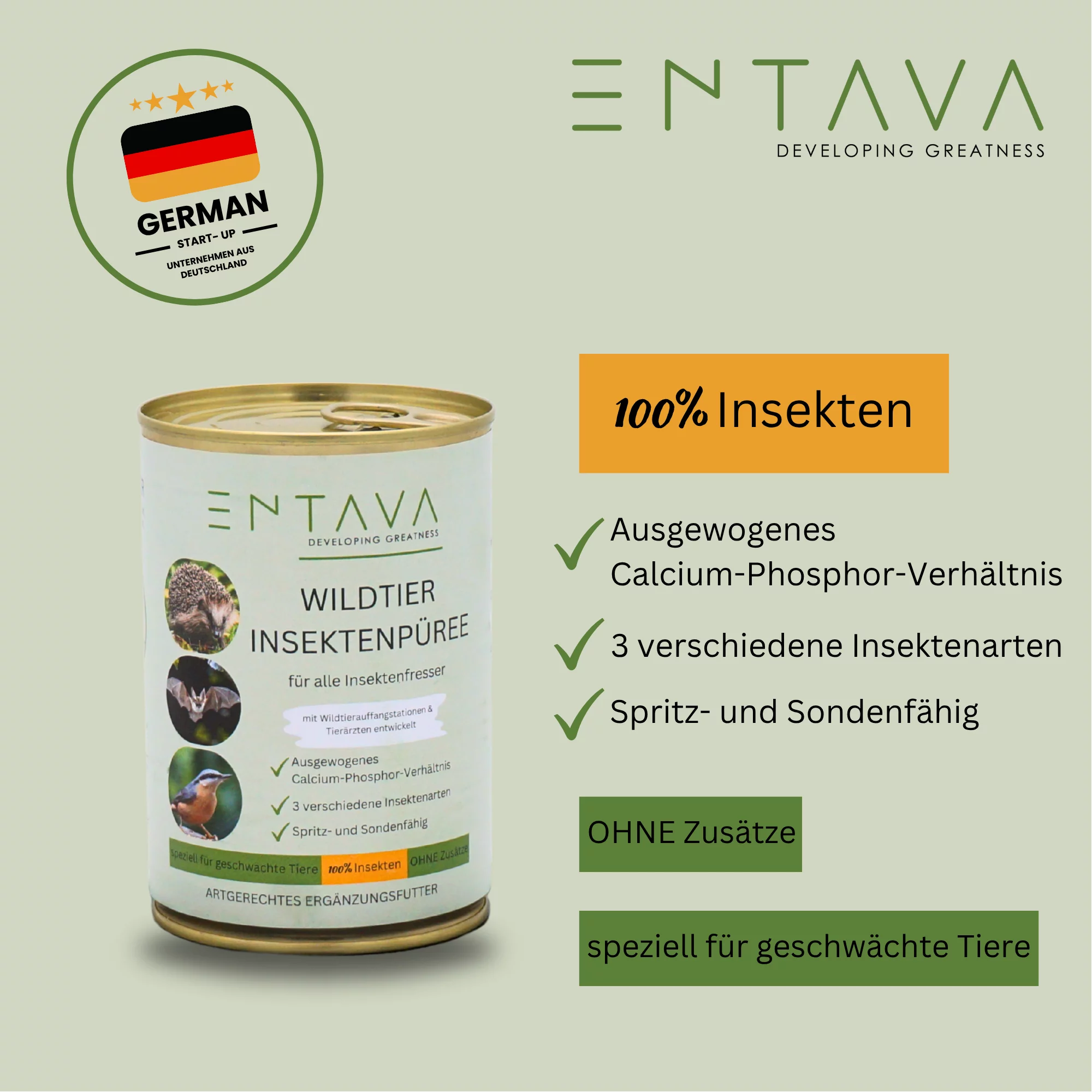 SPENDE Tierfreunde Rhein-Erft e.V. : Wildtier Insektenpüree 400g Dose