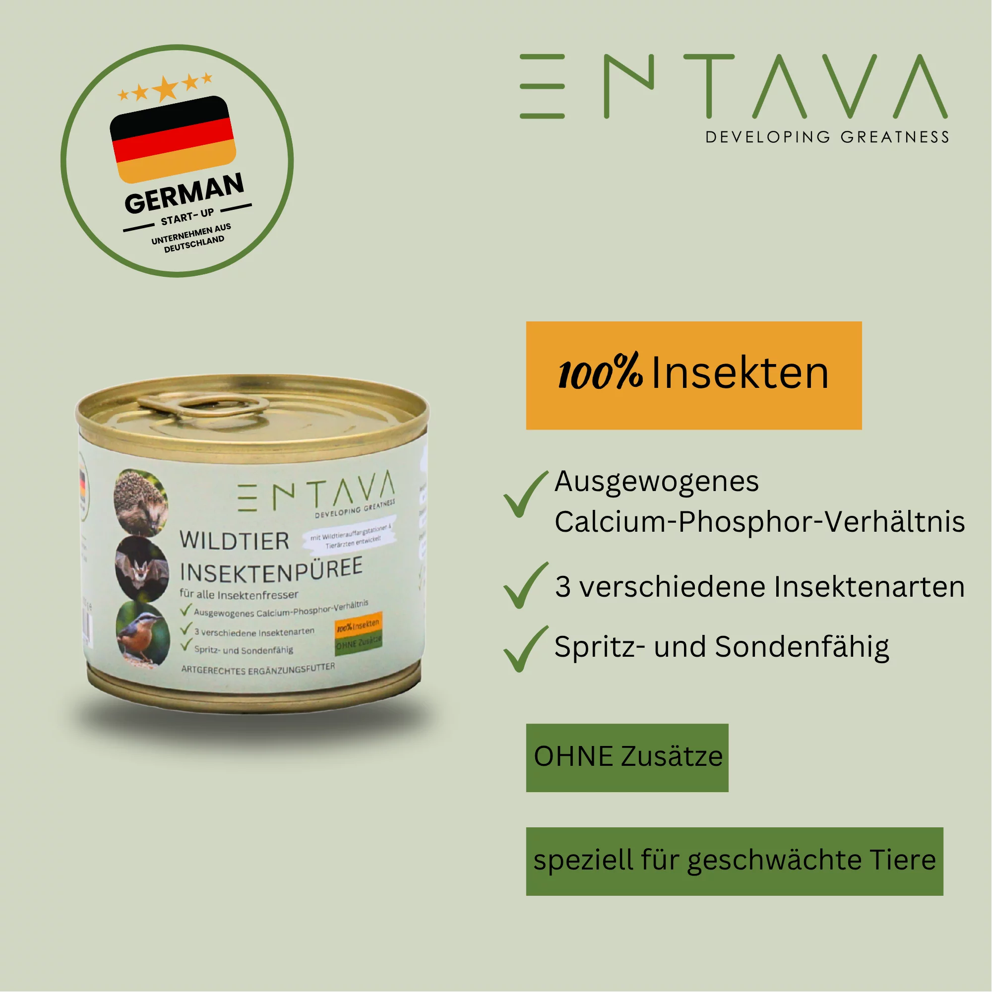 SPENDE Tierfreunde Rhein-Erft e.V. : Wildtier Insektenpüree 200g Dose 
