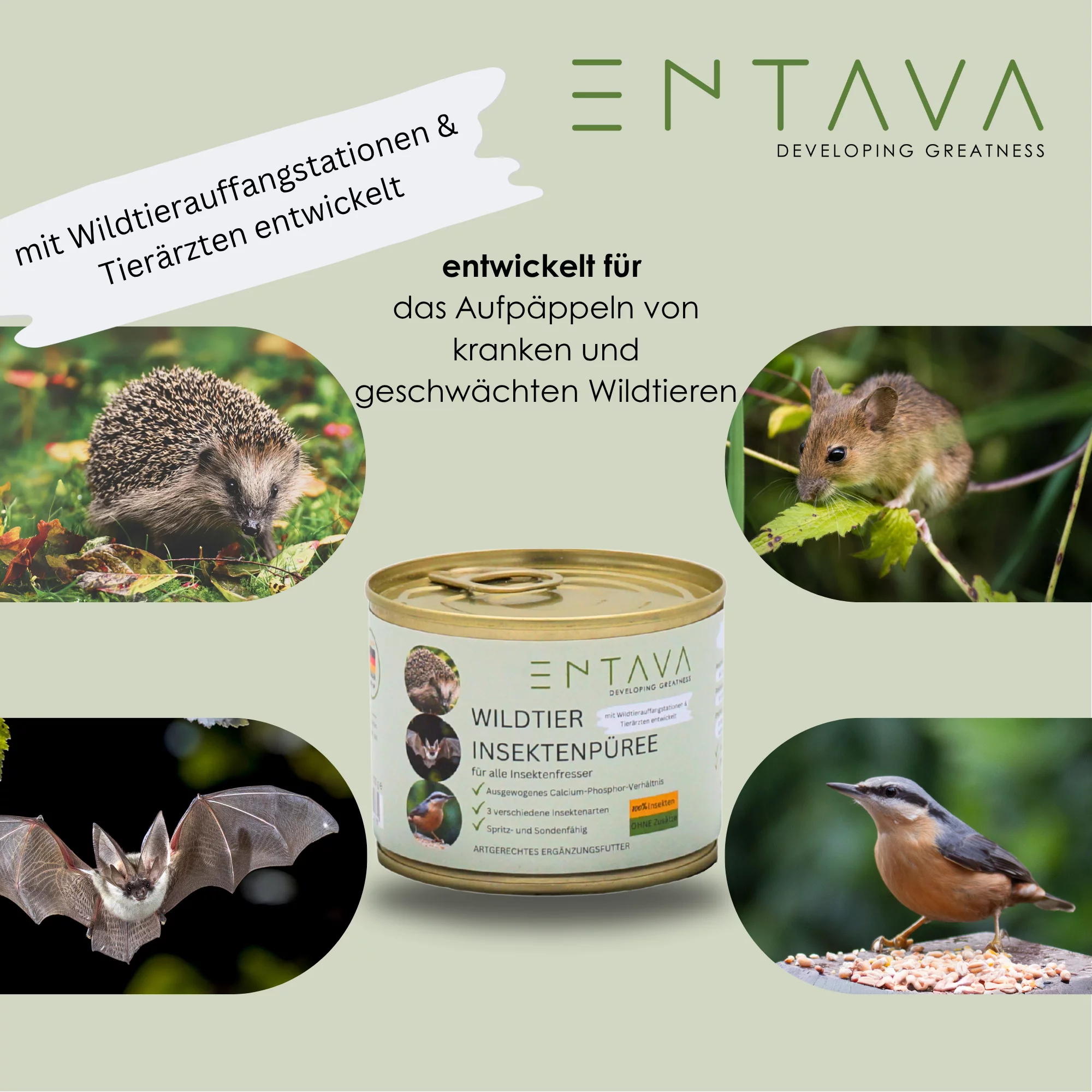 SPENDE Tierfreunde Rhein-Erft e.V. : Wildtier Insektenpüree 200g Dose 