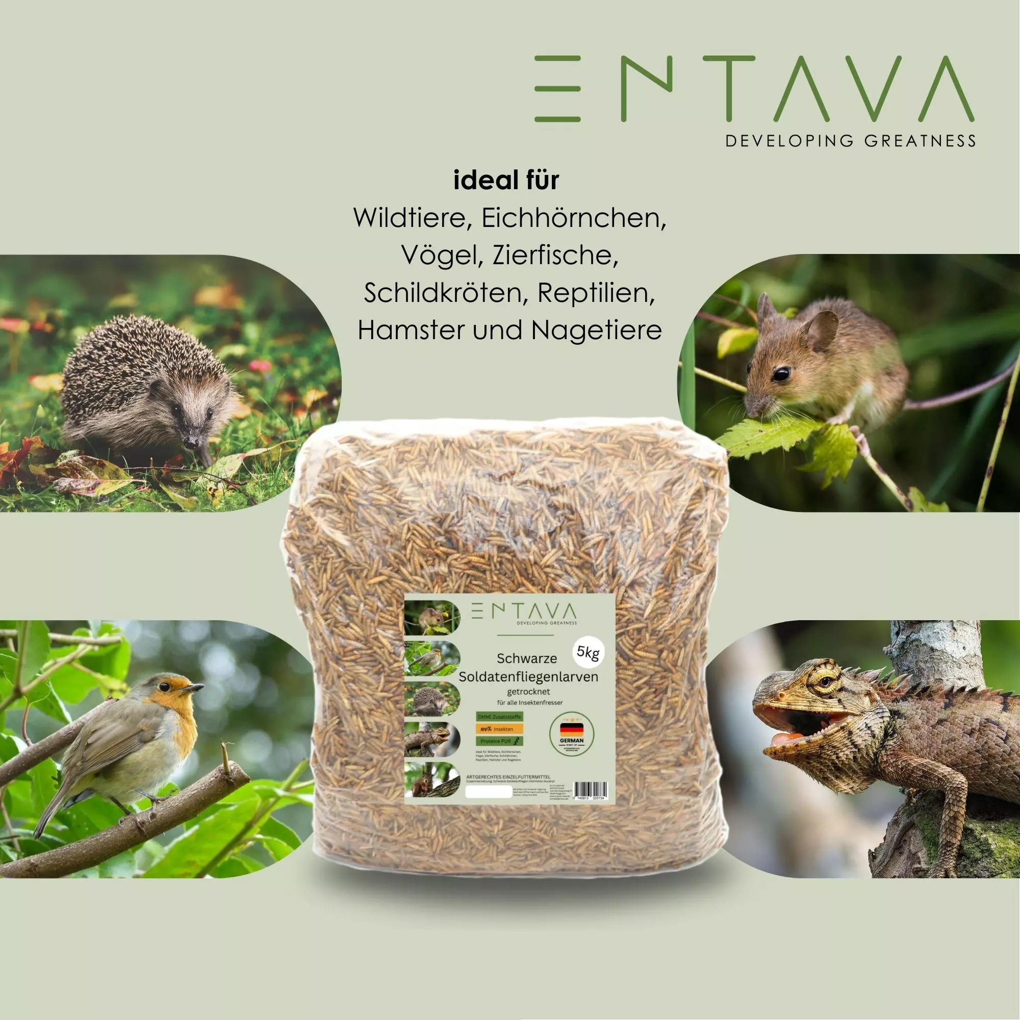 SPENDE Tierfreunde Rhein-Erft e.V. : 5kg Soldatenfliegenlarven getrocknet