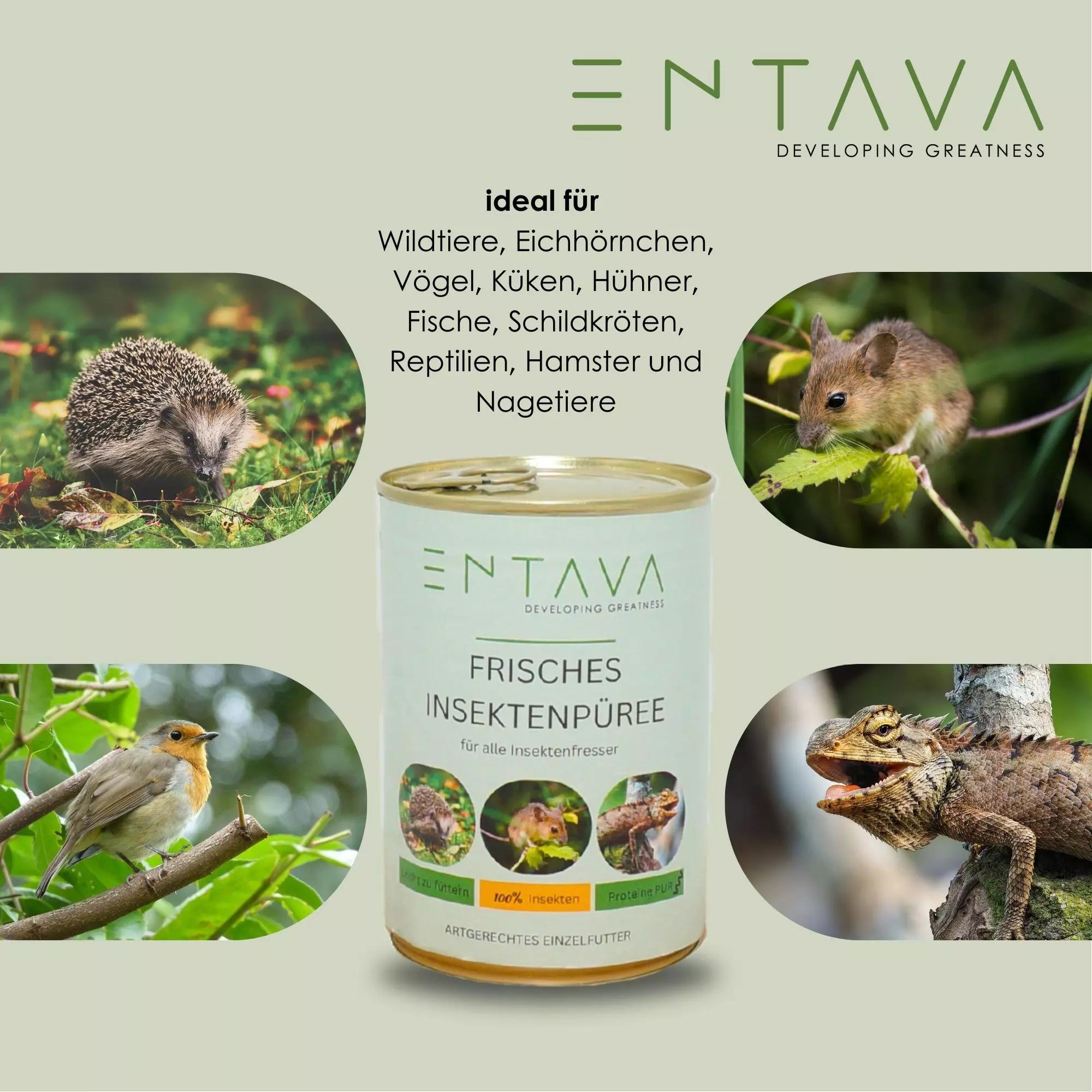 Insektenfutter für Wildtiere und Heimtiere