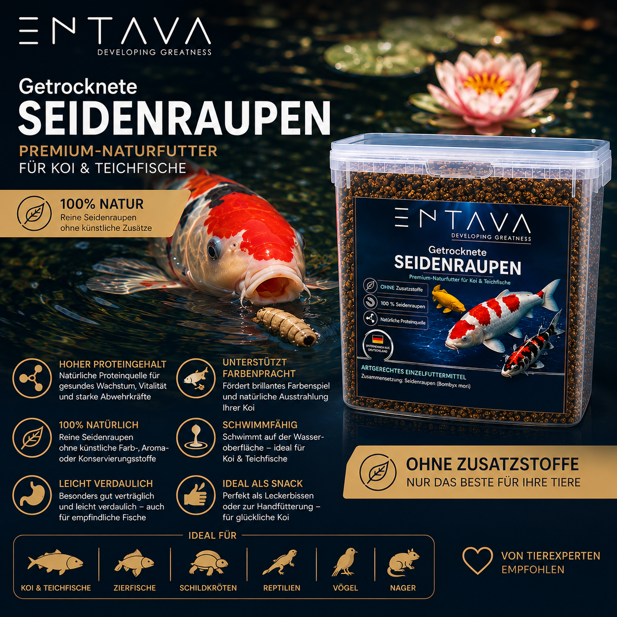 ENTAVA 10l (3kg) getrocknete Seidenraupen